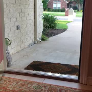 Pup learning to deliver the mail