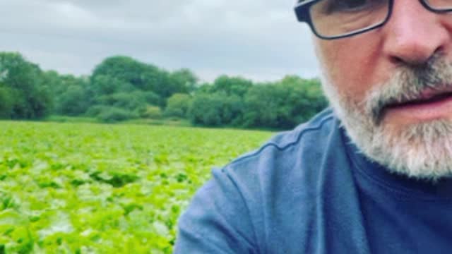 UK Farmer Exposes The Lies About Food Shortages