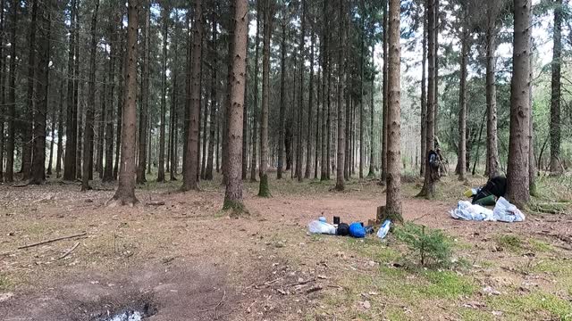 Storing firewood for seasoning for a future wildcamp