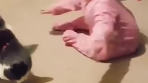 Cute Baby tricked BY Cat