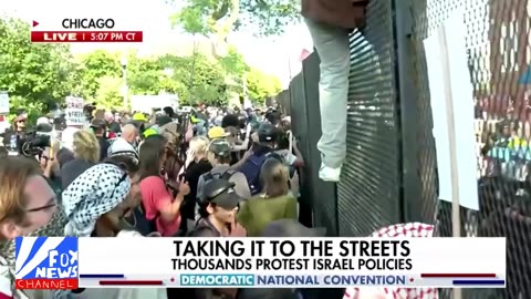 Police hit with sticks, signs at Chicago Protest at DNC (August 19th 2024)