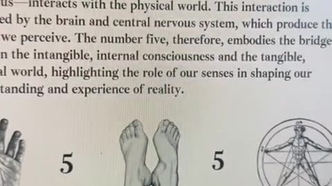 Your body is an Universe