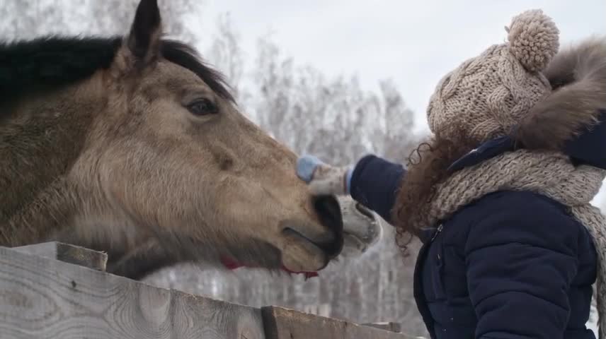 and this girl playing with that horse.
