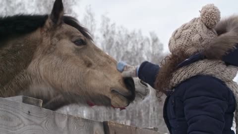 and this girl playing with that horse.