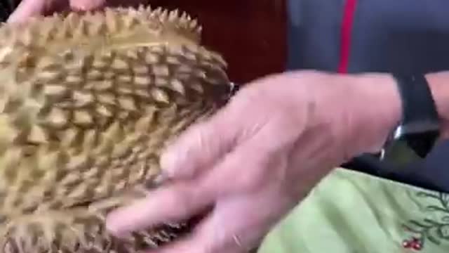 Trying durian as an adult