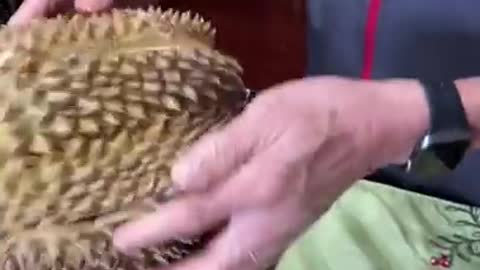 Trying durian as an adult