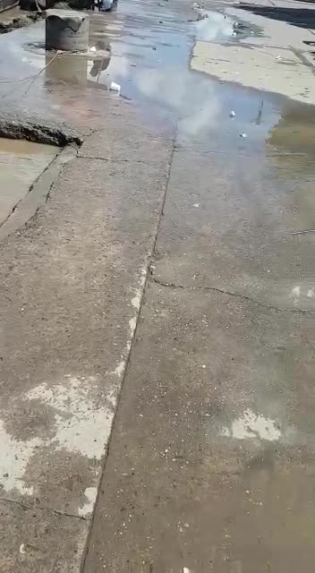 Video del Río Magdalena