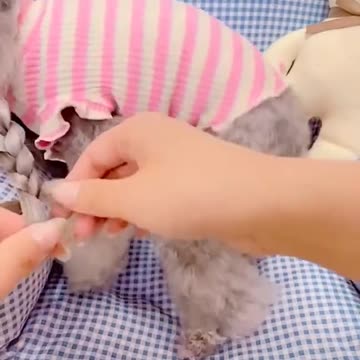 Do you like my hair?