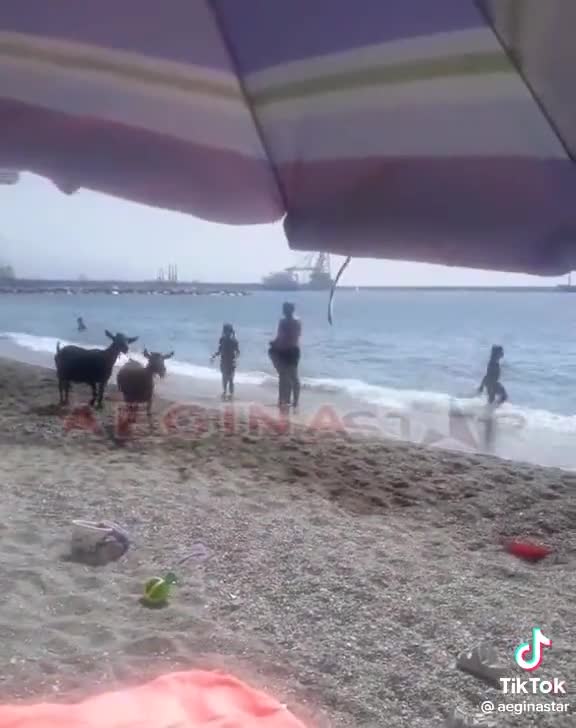 ΣΜΟΥΘ ΛΑΙΦ ΣΤΗΝ ΠΑΡΑΛΙΑ