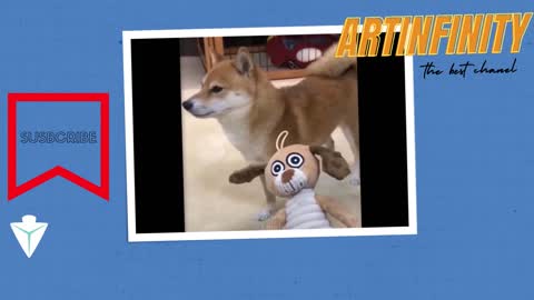 🤣Amazing Animals🔴