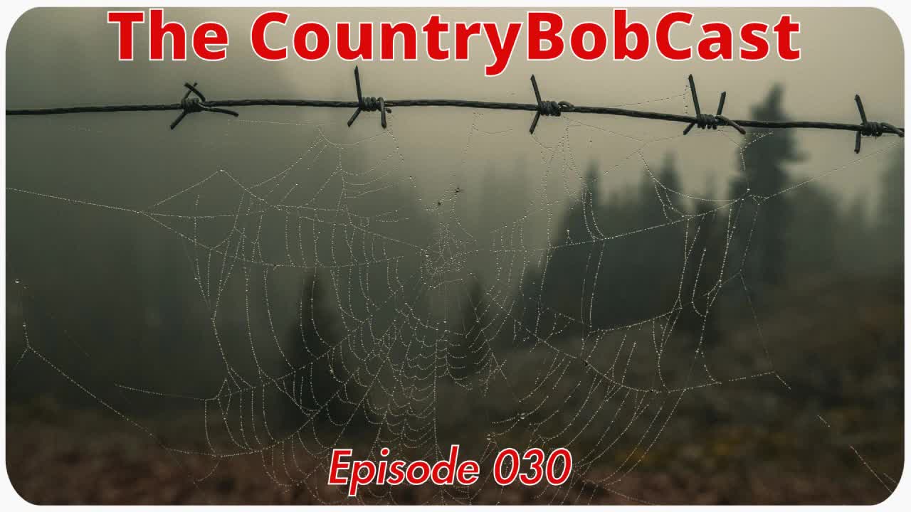 The CountryBobCast - 030 - Gespoelde Hersenen & De 3O Regel