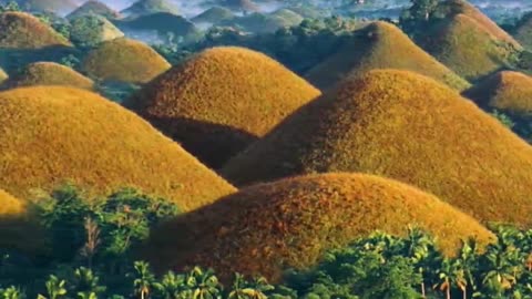 Guess what this place is, it's amazing.