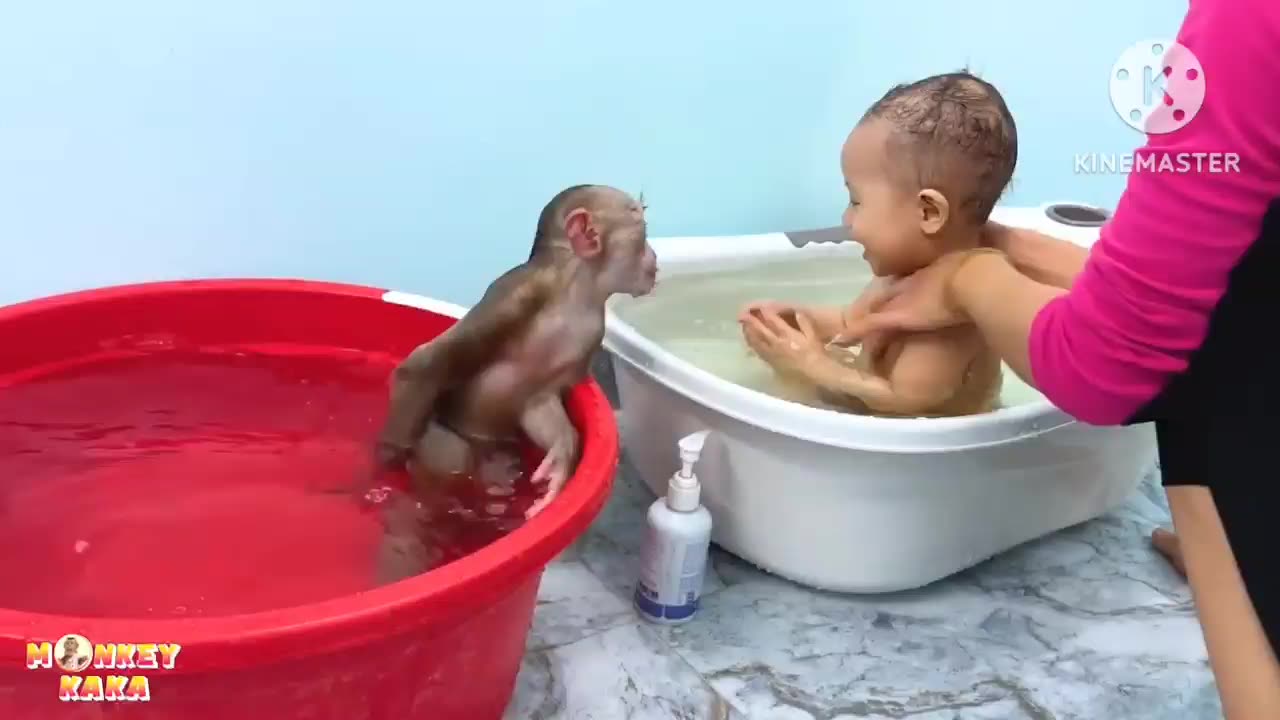 Monkey and baby