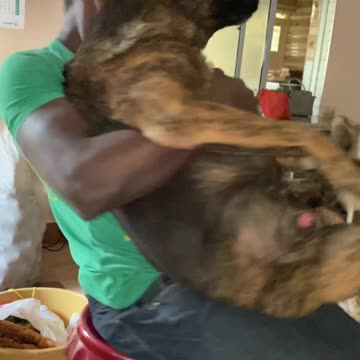 visiting my UPCOUNTRY(USHAGO)👨🏿‍🦳🧑🏿‍🦳 ... DOG edition 🐕🐕🐕