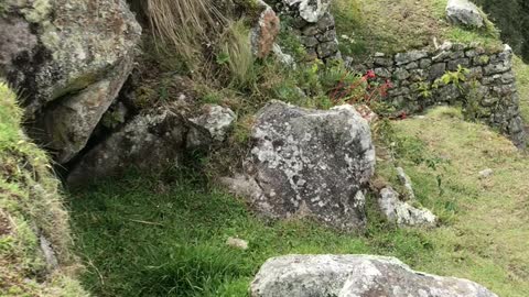 Machu Picchu, Peru