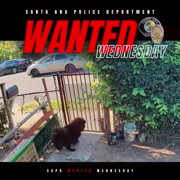 That person would have to pray that the cops got to him before I did