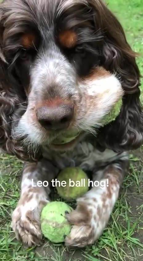 Sharing is caring 😂