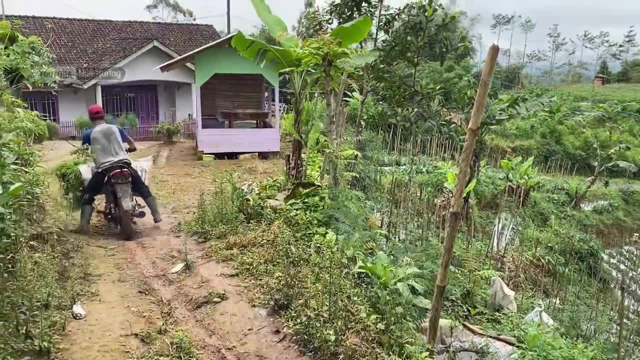 Suasana alam pedesaan bikin betah untuk kembali