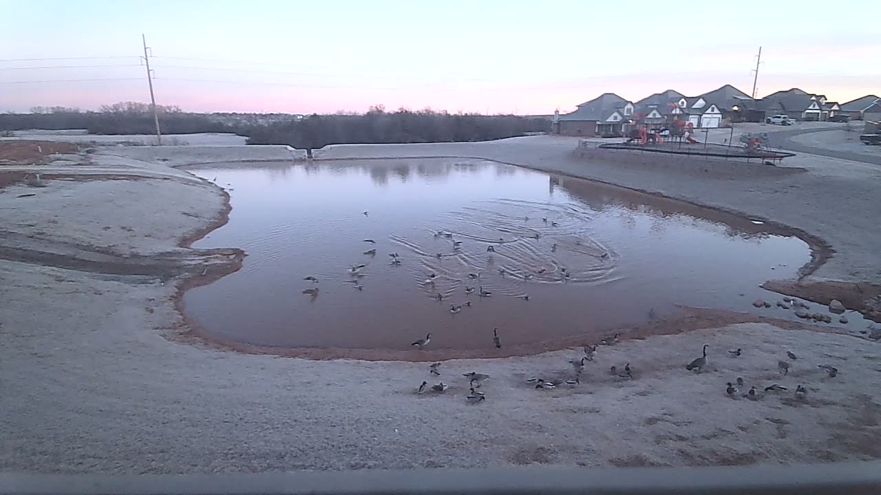 The Pond