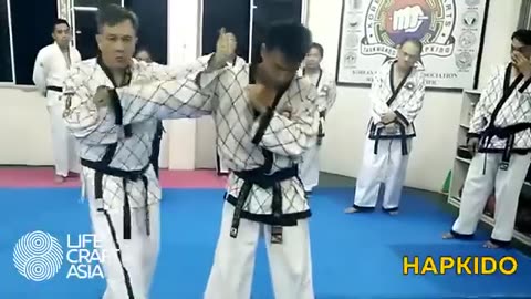 Hapkido