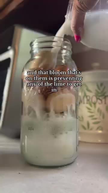 What can we do with our eggs