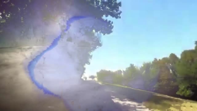 NASTY WOODS