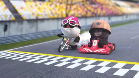 Pand funny racing