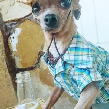 I’m loosing my mind over the tiny shoe