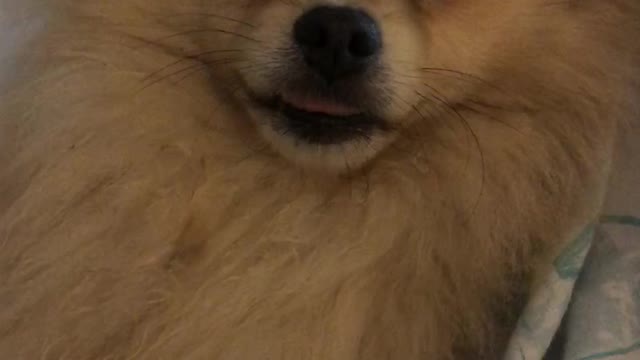 Very cute!