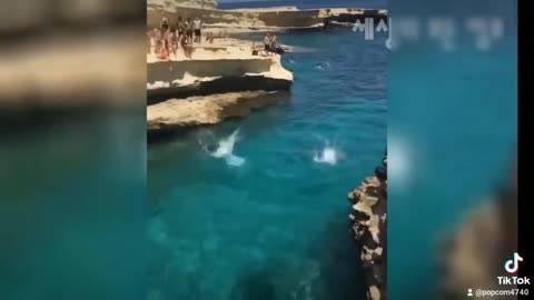 Animais engraçados2.1