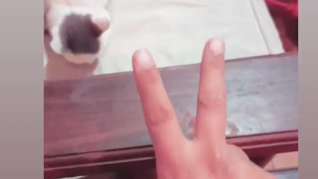 Te reto a este juego