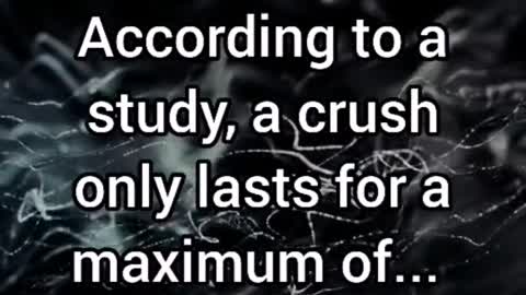 Psychology Fact About Love