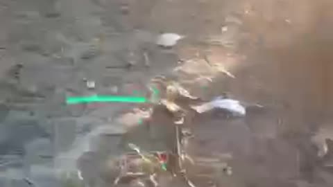 Un altro vile attacco da parte dell'esercito sionista.