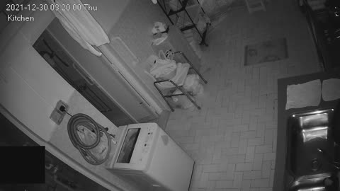 Kitchen Midnight 30 Dec 2021 20211230