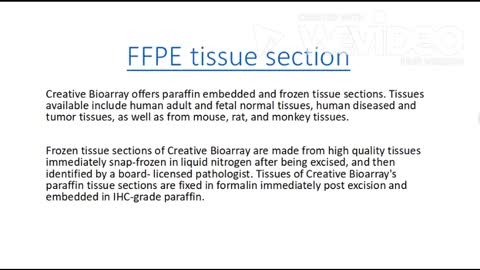 ffpe tissue section