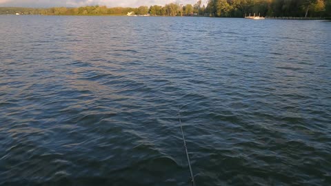 This BIG MUSKIE strikes BOATSIDE!!