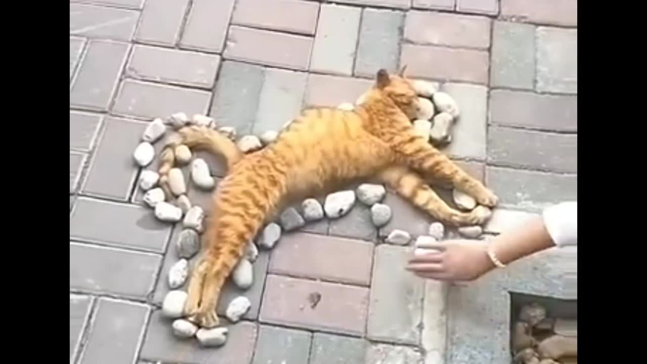 Hey ! The little one just wants to sleep 💤