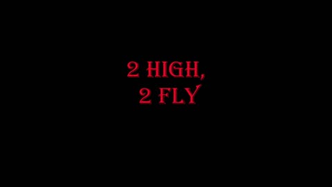 2 High, 2 Fly