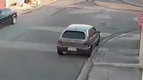 Por no mirar se estrella con el carro por culpa de los perros