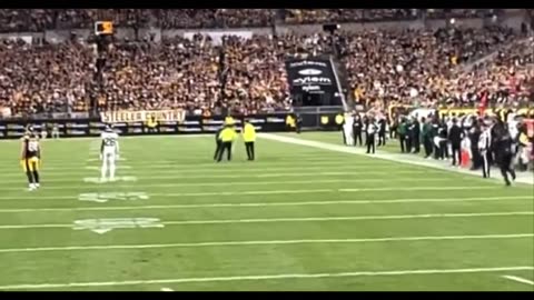 Viral Video: Woman Runs Onto Steelers Field With Trump Sign — Gets Taken Out