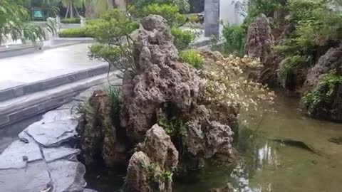 rockery in pool