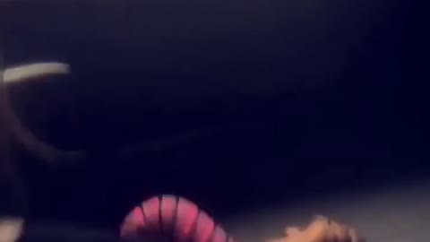 Girl falls while trying to climb on top of chair