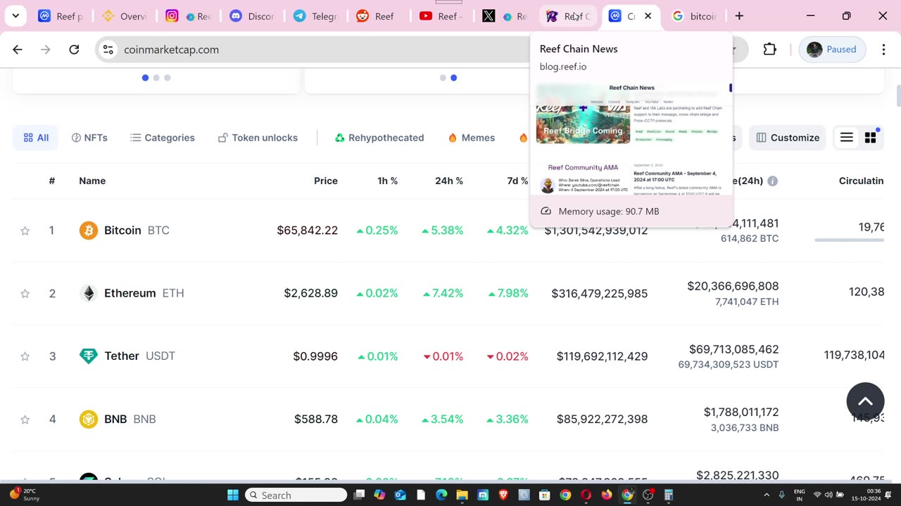 Reef Finance Price Prediction .50 Cent My Investment Now $ 130000 Dollar, Why Binance Delisted