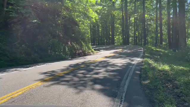 Joyride on the Tail Of The Dragon