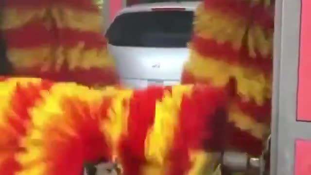 Smart dog uses the car wash to freshen up