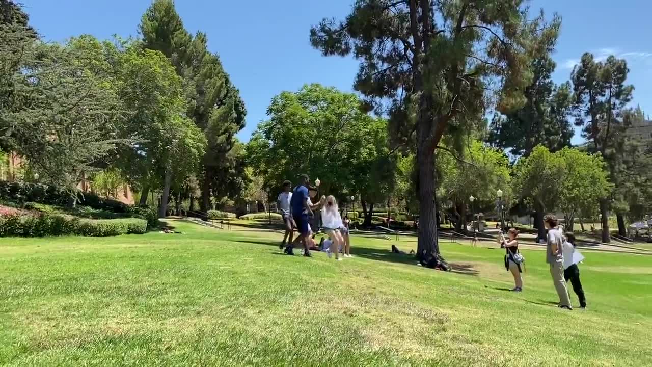 Rolling around on the grass together in the afternoon