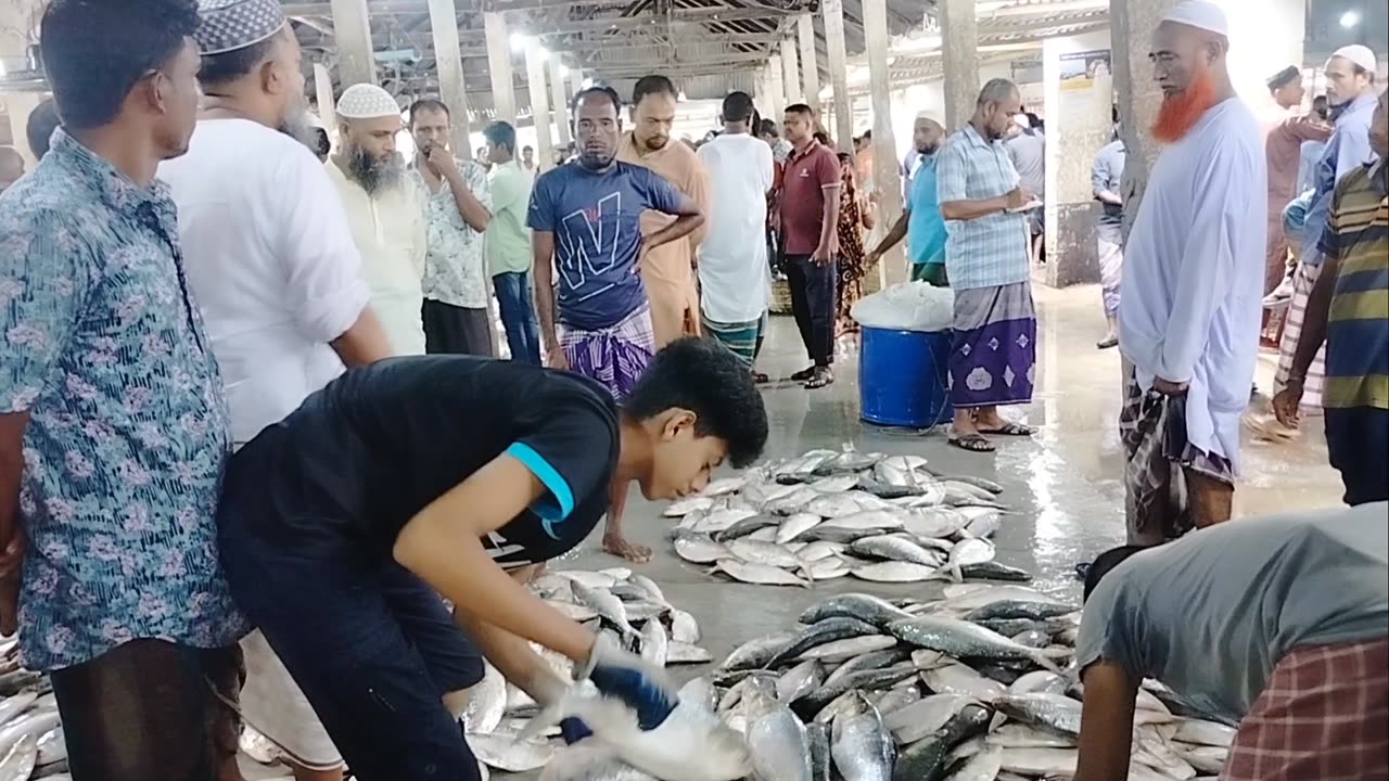 Hilsa fish wholesale market