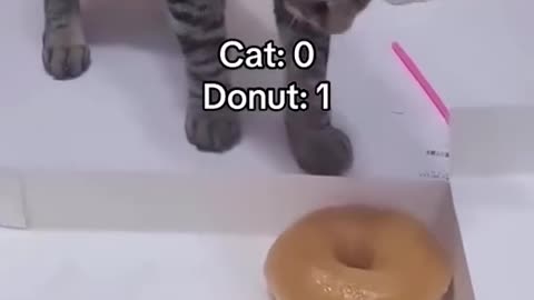 Donut the car Attack= 0% Damage= 100%