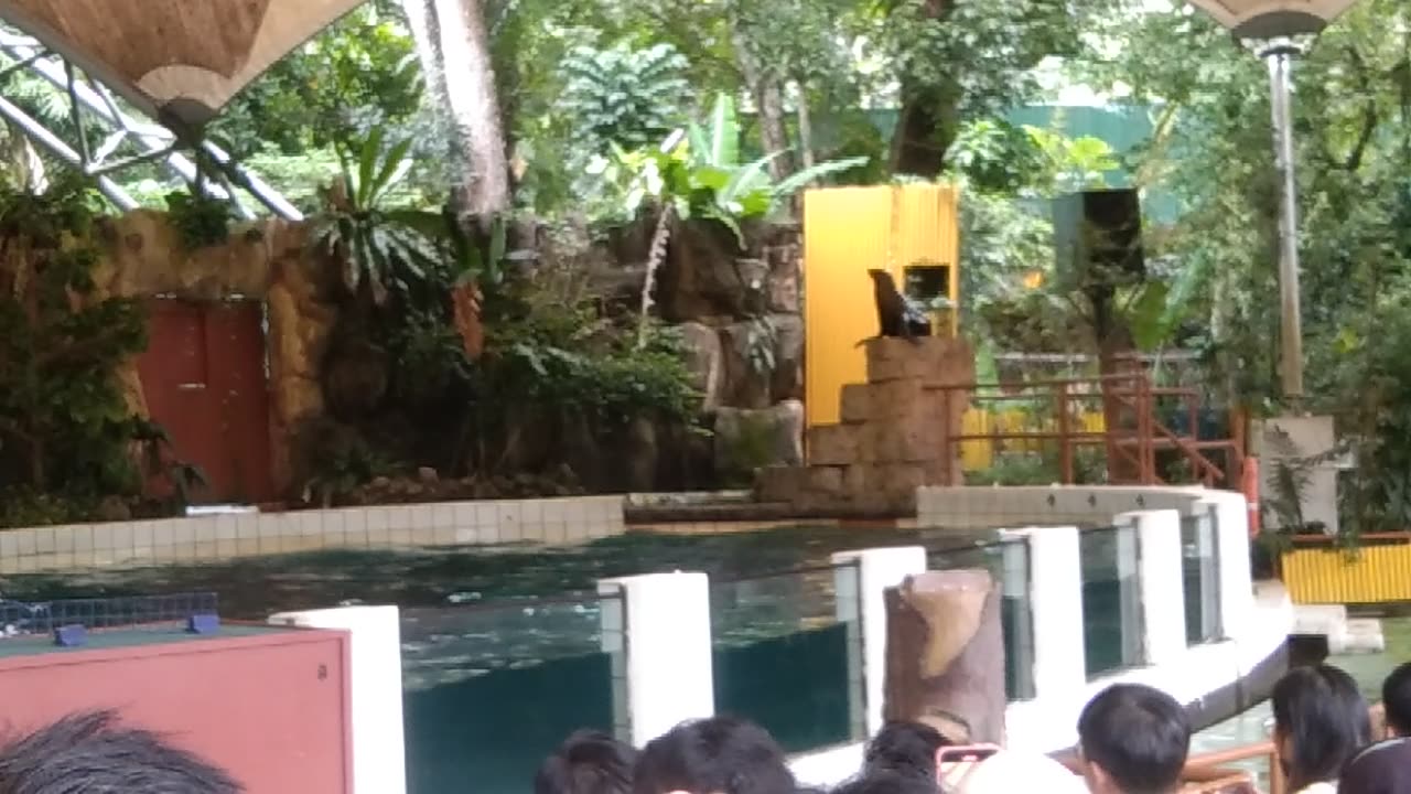 Animal circus at Zoo Negara