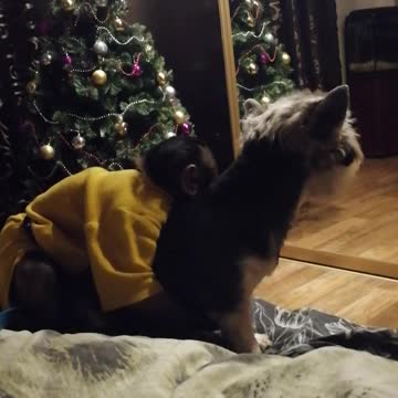 Как чихает Ева